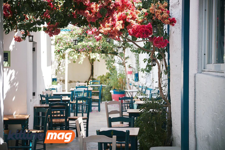 محیط-بیرون-رستوران-کافه-همراه-با-گل-آرایی-زیبا-در-تابستان
