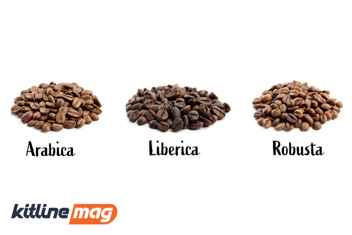تفاوت-شکل-قهوه-عربیکا-روبوستا-لیبریکا