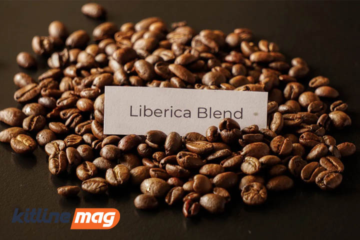 دانه-قهوه-لیبریکا-هدر-مقاله