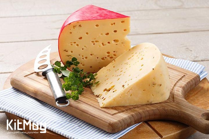 پنیر گودا (GOUDA)