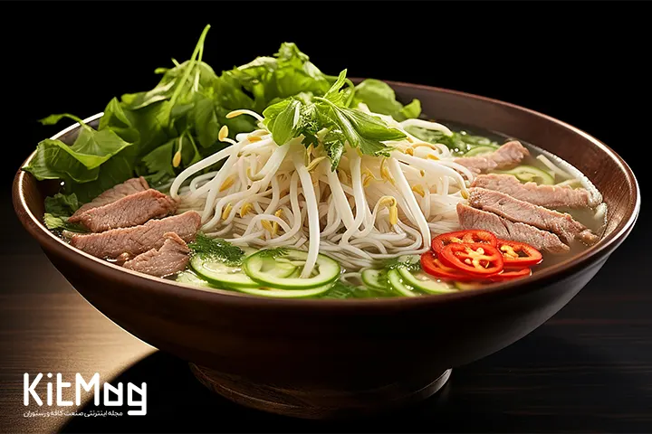 کیت مگ/ سوپ فو pho ویتنامی ( سوپ های رقیق و انواع آن)