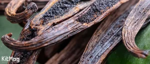 وانیل | جایگاه، کاربرد و اهمیت آن در بازار ایران و صنعت شیرینی‌ پزی و بیکری