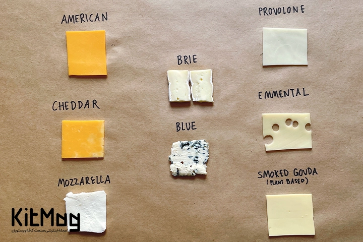 انواع پنیر مورد استفاده در همبرگر های رستورانی و خانگی متناسب با نوع استفاده شما
در تصویر هر کدام از پنیر ها به صورت جداگانه از نمای نزدیک نمایش داده می شوند