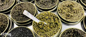 راهنمای خرید انواع خاویار ایرانی | با انواع گونه های خاویار بیشتر آشنا شوید