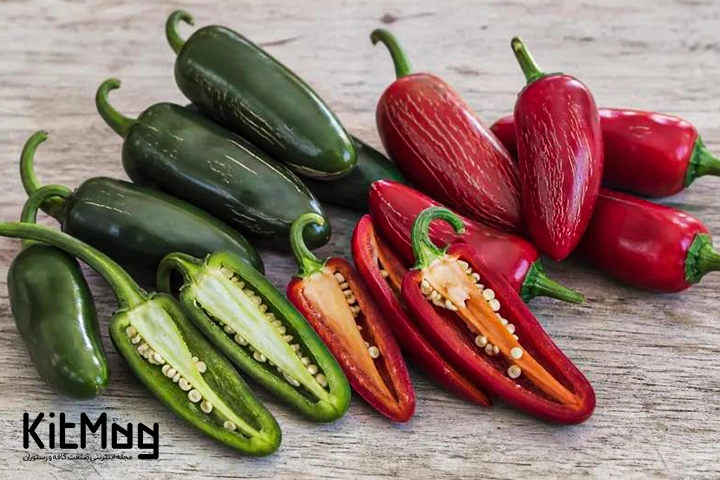 هالوپینو های قرمز و سبز که برای درست کردن ترشی استفاده می شود 