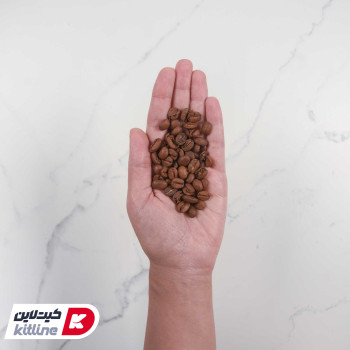 دانه قهوه ۸۰٪ عربیکا ۲۰٪ روبوستا ریمان دونیسی