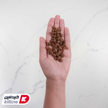 دانه قهوه ۱۰۰٪ عربیکا استرادیان دونیسی