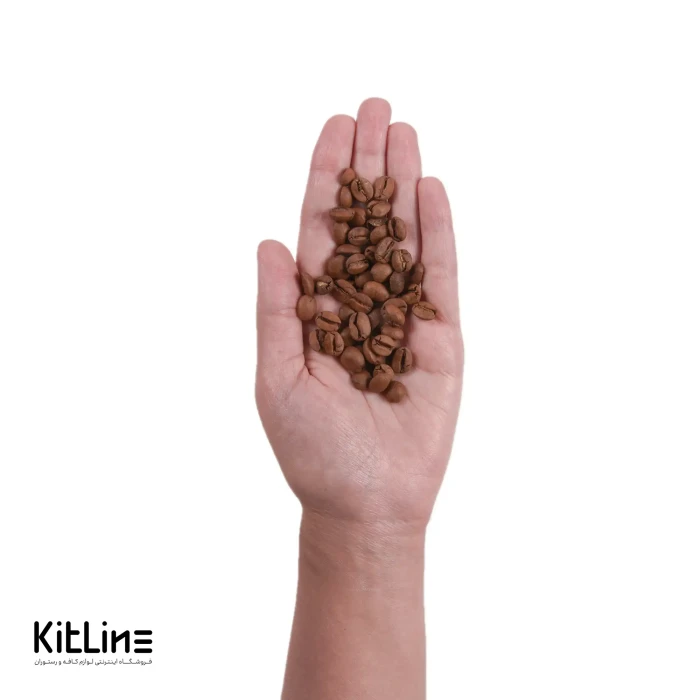 دانه قهوه ۱۰۰٪ عربیکا استرادیان دونیسی ۱ کیلوگرمی