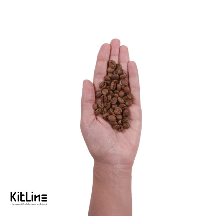 دانه قهوه ۷۰٪ عربیکا ۳۰٪ روبوستا گرادیانت دونیسی ۱ کیلوگرمی